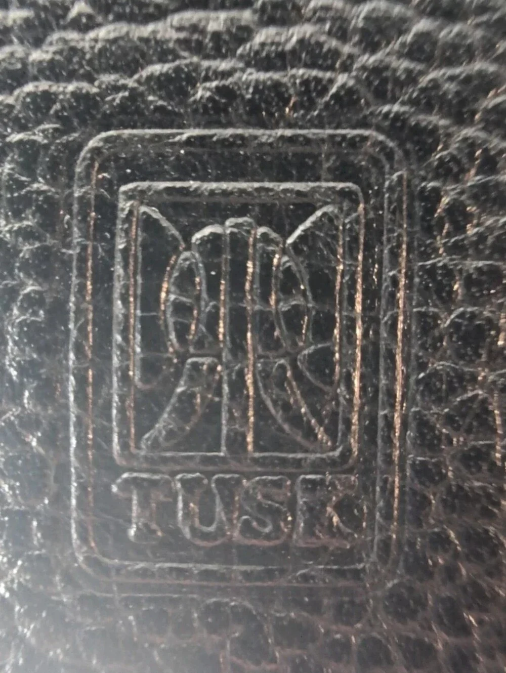 Tusk stylish zebra